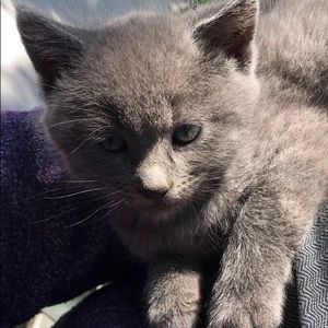 Meet your Posher, Joel